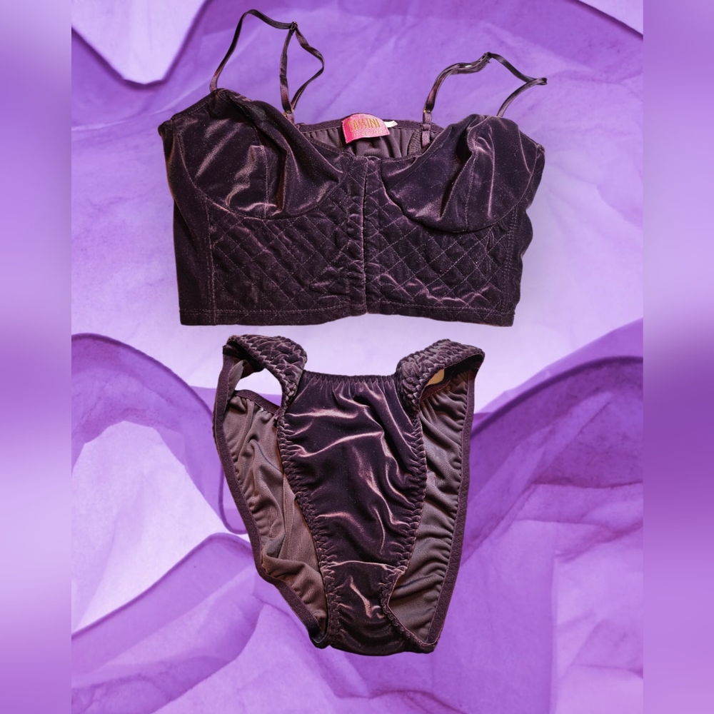 Vintage Cassini Intimates Purple Velvet Bra and Panty Set